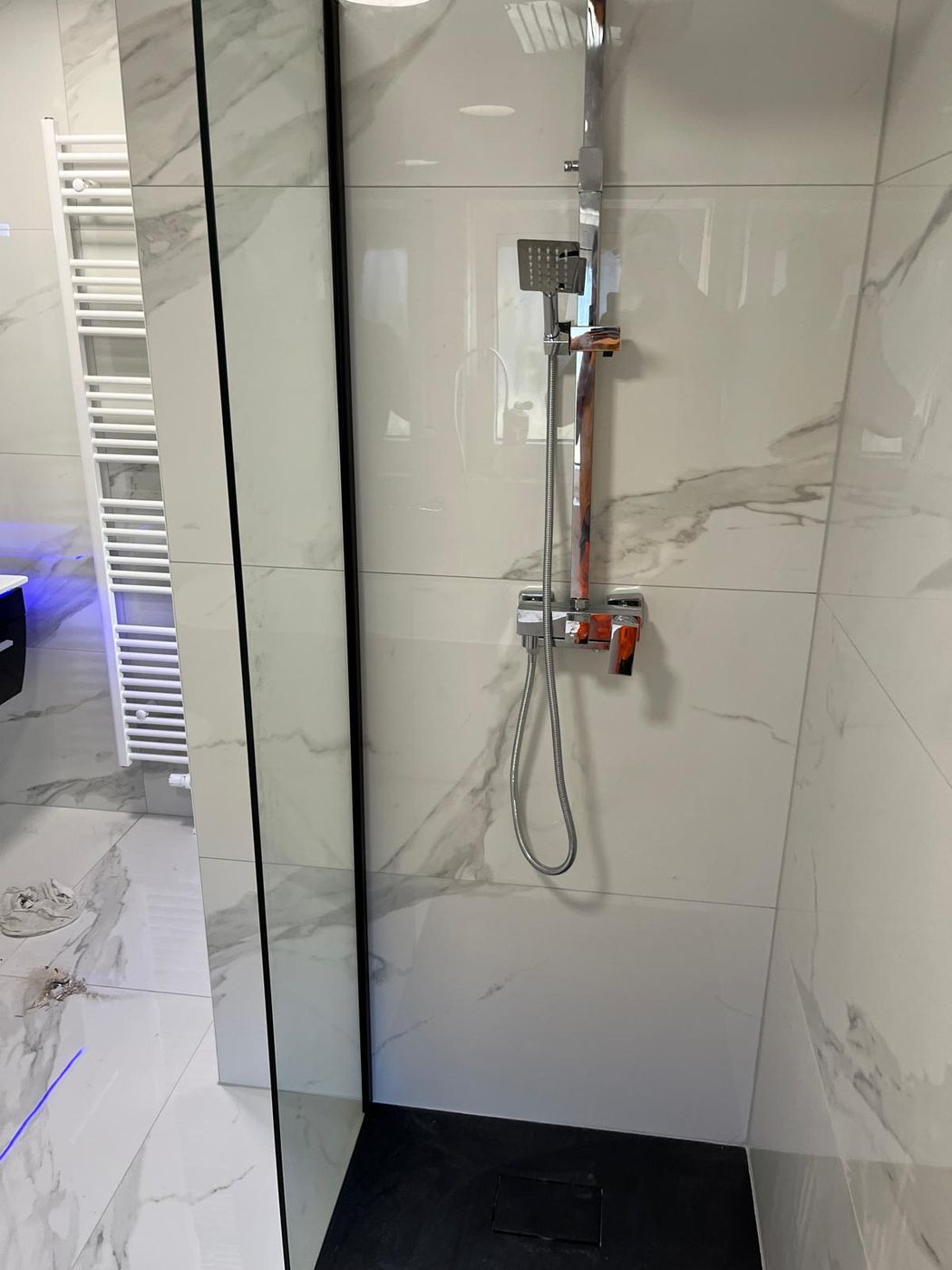 Walk-in-Dusche mit Glaswand und Regendusche